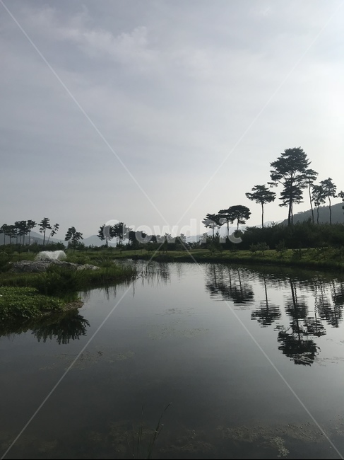 헤저드,골프장,수면,골프코스,자연,자연,풍경,nature,landscape,land,땅,outdoors,옥외,water,물