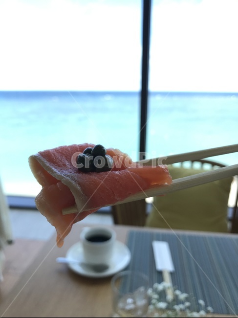 음식,food,연어,생선,회