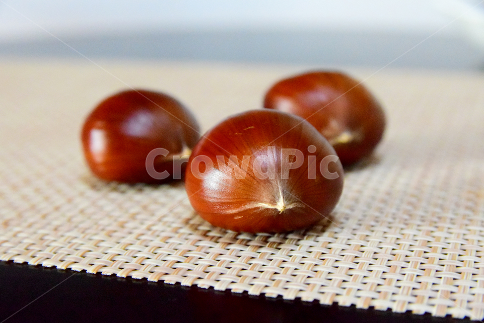 밤,밤알,알밤,열매,fruits,chestnut,가을,계절,fall,autumn,season,음식,식재료,요리,food,cook,meal,dishes,food reserves,plant,식물
