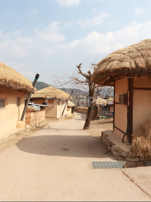 안동,하회마을,초가,옛스러운,고즈녁한