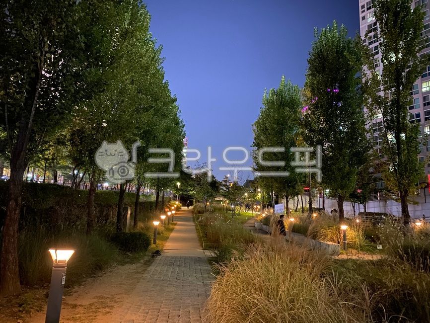 야경,불빛,night,산책로,밤야경,도심속숲길