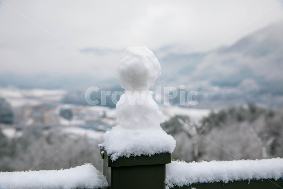 겨울,나무,눈,흰눈,눈사람,겨울,계절,winter,season