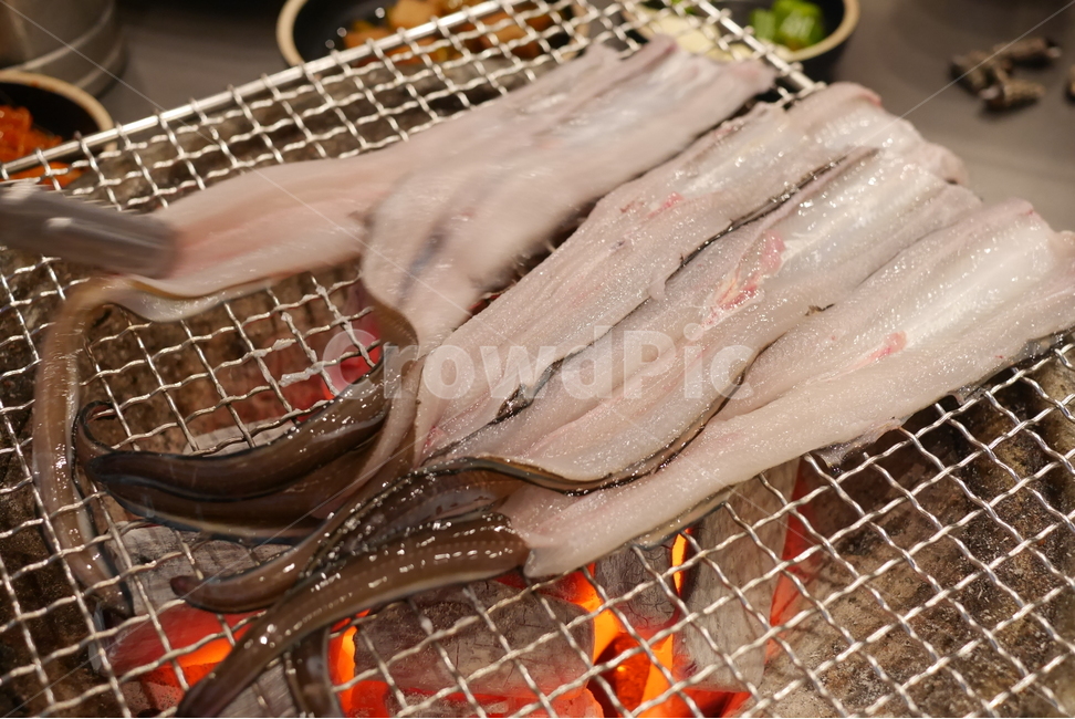 장어,보양식,복날,돌장어,마산돌장어,회식,회식메뉴,모임,음식,저녁식사,food,숯불,숯불구이,스테미너,음식,식재료,요리,food,cook,meal,dishes,food reserves,수산물,해산물,fishery products,seafood,한식,한국음식,한국요리,korean food,korean dishes,korean meal,korean cook