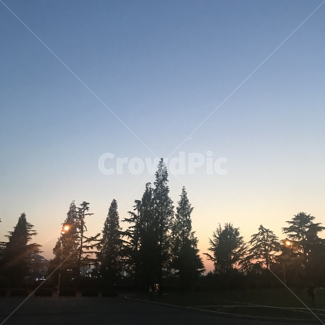 석양,하늘,나무,선셋,sunset,노을,저녁노을,저녁풍경,nature,sky,tree,저녁하늘