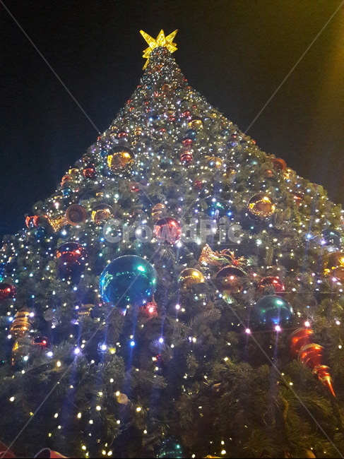 트리,크리스마스,조명,christmas,장식