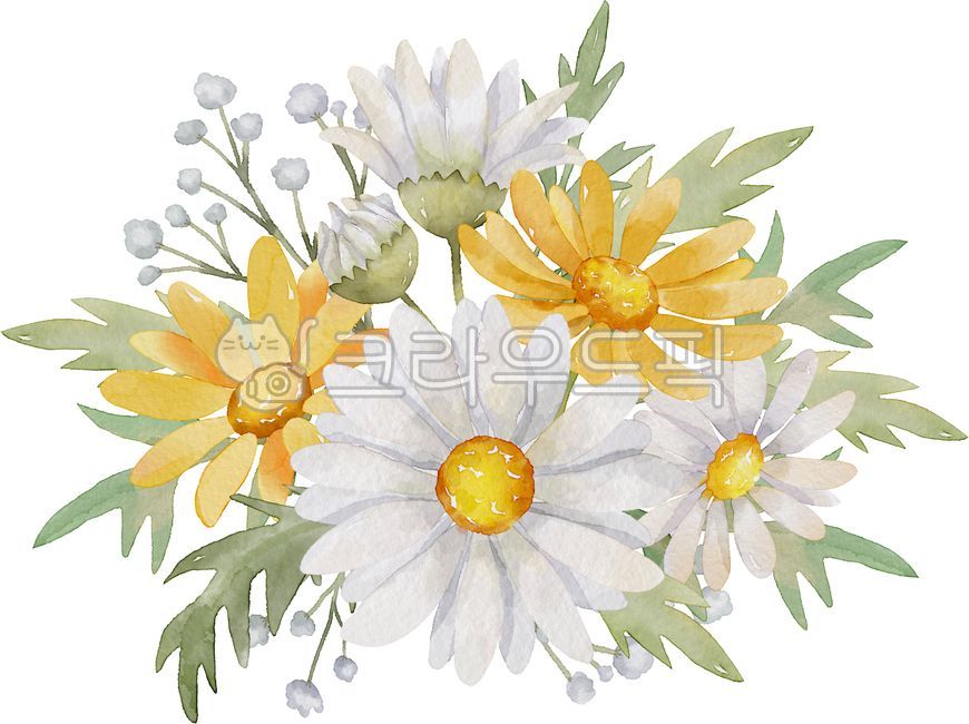 데이지, 데이지꽃, 꽃일러스트, 데이지일러스트, 수채화, 사진,이미지,일러스트,캘리그라피 - OK디자인작가