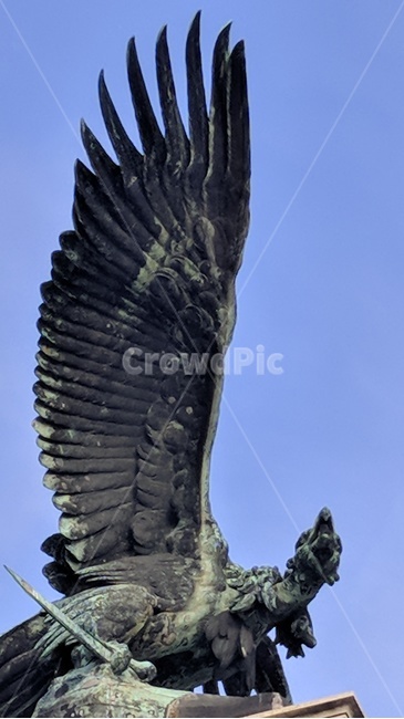 eagle,독수리,animal,동물,헝가리