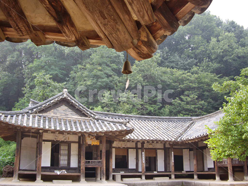민속촌,민속마을,한옥,기와,기와집,한국전통,전통,전통마을,한국문화,보존,한국의미,옛마을,village,nature,plant,자연,풍경,식물,korean,주거지,나무,traditional,culture,outdoors,옥외,마당
