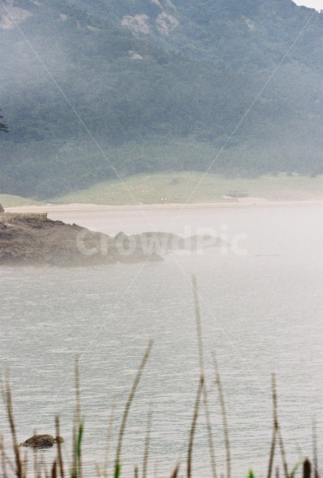 필름,감성,자연,바다,landscape,자연,풍경,nature,landscape,outdoors,옥외,land,땅,water,물,shoreline,해안선,ocean,대양,sea