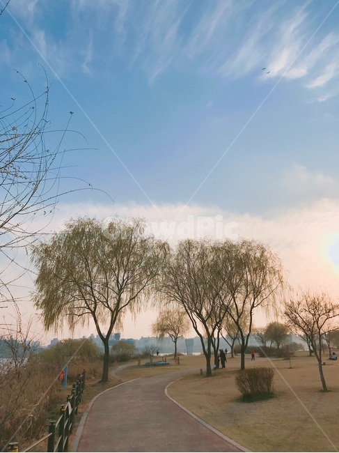 한강,하늘,배경,길,나무,구름