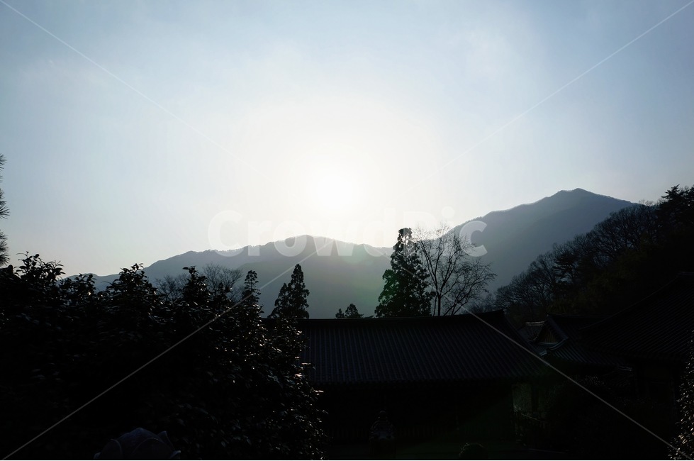 산,사찰,여명,절,경치