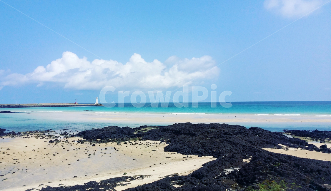 해안선,자연,ocean,바다,sea,water,물,nature,제주도,해변,beach,자연,풍경,nature,landscape,제주도,jeju,jeju island,land,땅,outdoors,옥외,shoreline,대양