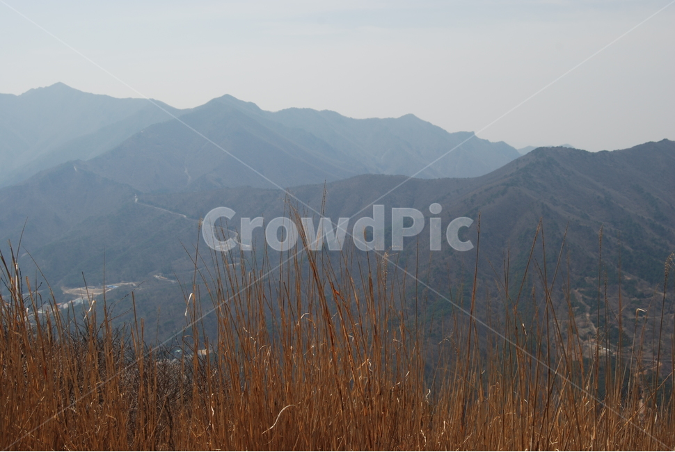 고헌산,외향재,봄,꿀벌,등산로,능선,치유,여행,돌,산행,힐링,자연,동행,등산,계절,한국,한국명산,한국등산,풍경,나무,하늘,바람,땅,자연,풍경,nature,landscape,한국자연풍경,한국자연경관,korea nature landscape,mountain range,산맥,mountain,산,outdoors,옥외,plant,식물,grass,잔디