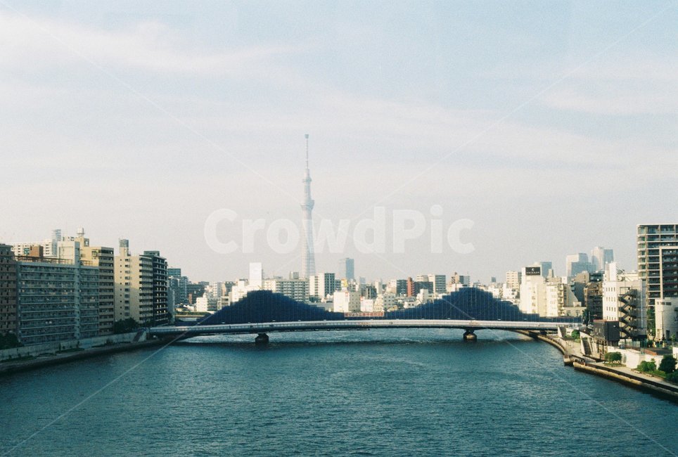 도심,다리,강,building,건물,city,시티,town,metropolis,어반,도시,중심지,urban,도시,풍경,city,landscape