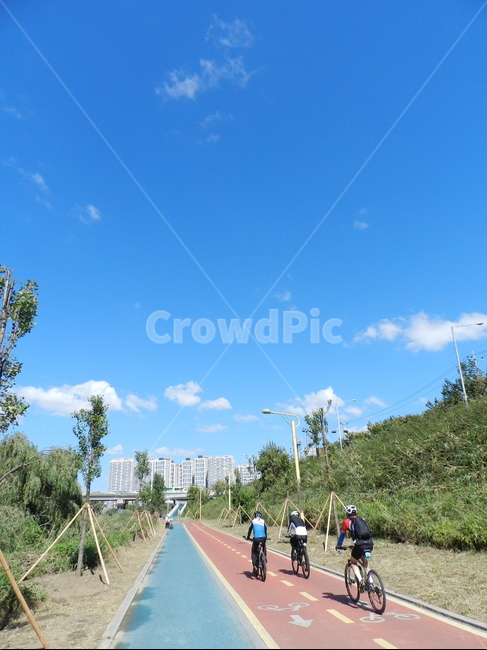 transportation,교통,bicycle,자전거,bike,human,인간,person,사람,road,도로