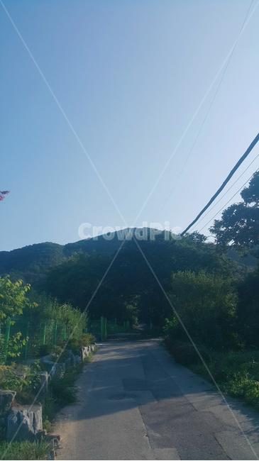 산속,산,시골길,도로,시골도로,하늘,산길,자연,풍경,한적,길거리,거리