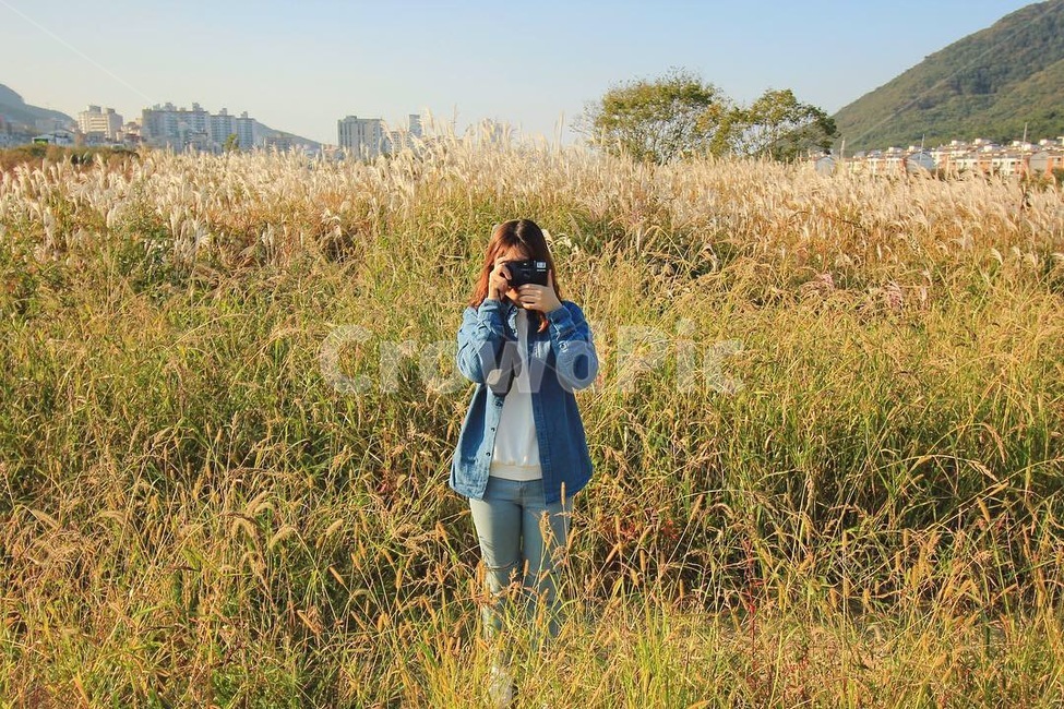 갈대,가을,나무,풀숲,자연,가을,계절,fall,autumn,season,사람,인물,인간,human,person,여성,여자,woman,female,lady,사진작가,포토그래퍼,photographer,사진 작가