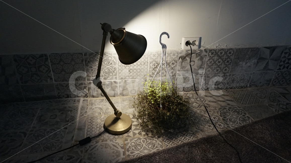 스탠드,조명,불빛,화분,분위기,Stand,Lighting,Flowerpot,mood,인테리어,실내디자인,interior design,사물,물건,오브젝트,thing,object,matter