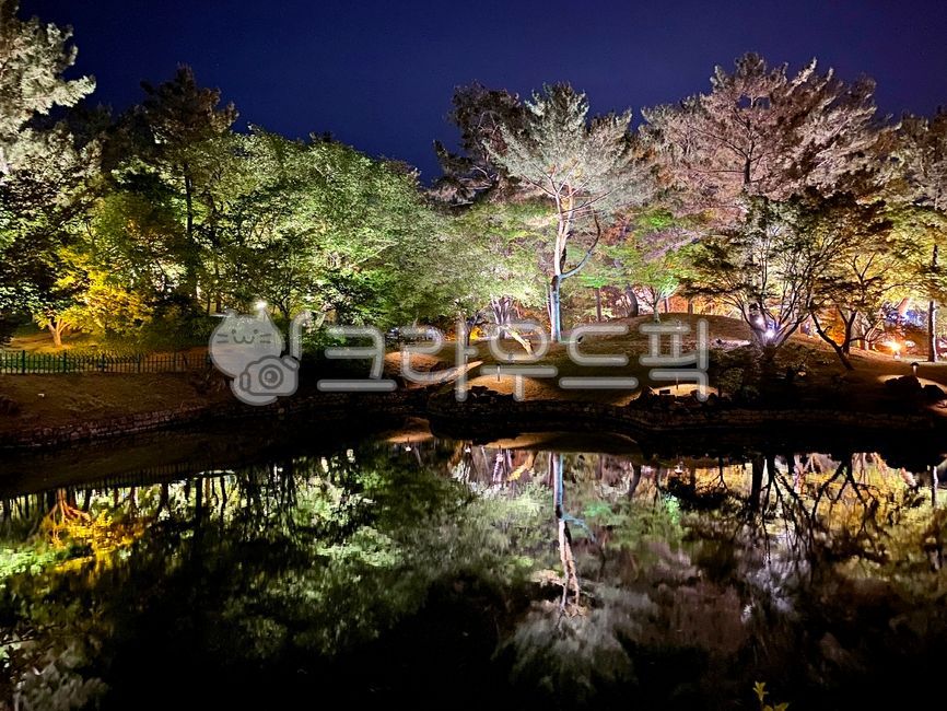 pond,Gyeongju Donggung Palace and Wolji Pond,outdoors,nature,Donggung Palace and Wolji Pond,Gyeongju night view,water,Anapji