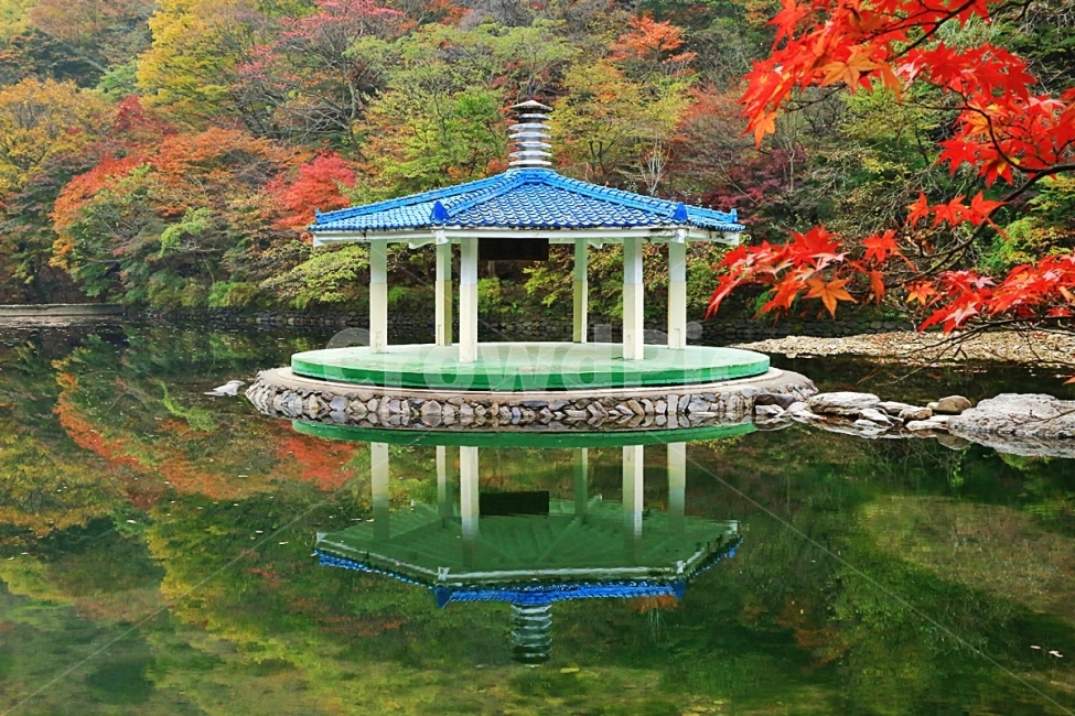내장산,우화정,국립공원내장산,가을,단풍,가을여행,가을,계절,fall,autumn,season,자연,풍경,nature,landscape,한국자연풍경,한국자연경관,korea nature landscape