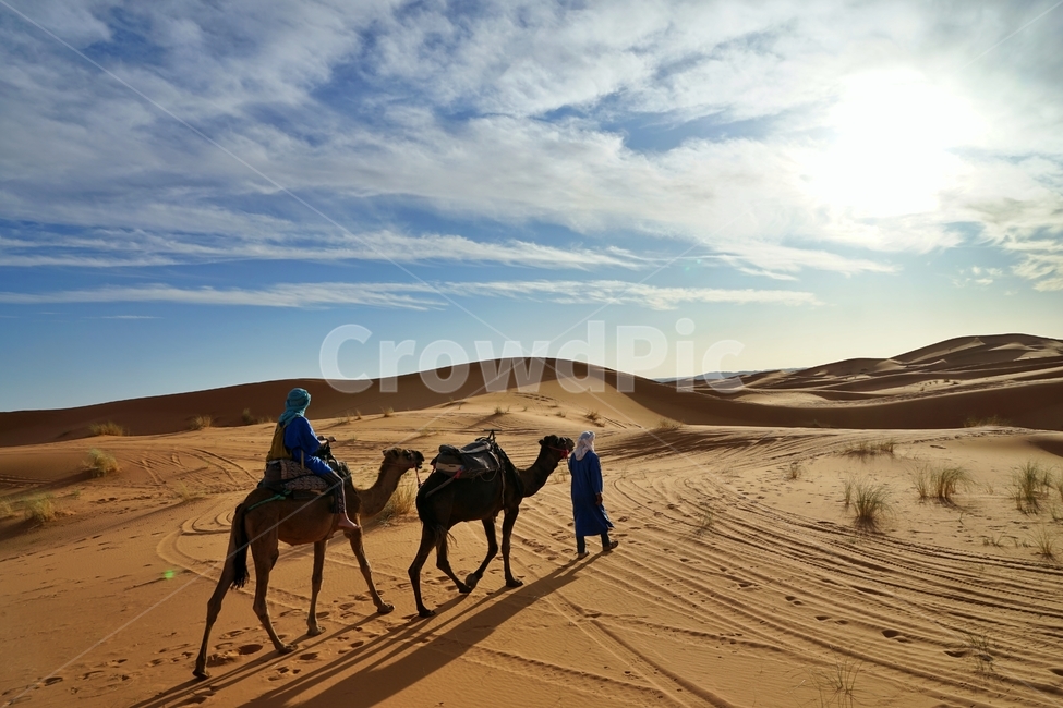 사막,desert,사하라사막,saharadesert,낙타,camel,그림자,shadow,붉은색,red,nature,자연,outdoors,옥외,sand,모래,dune,모래언덕,sunlight,빛