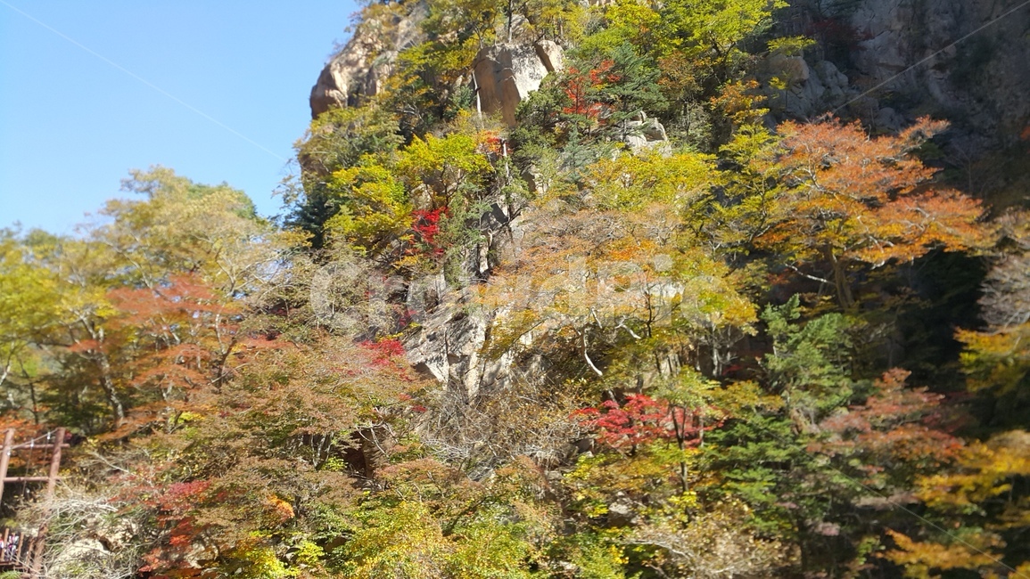 설악산,만경대,주전골,금강문,가을단풍,단풍,화려,국립공원,설악산국립공원,탐방,가을,계절,fall,autumn,season,tree,나무,plant,식물