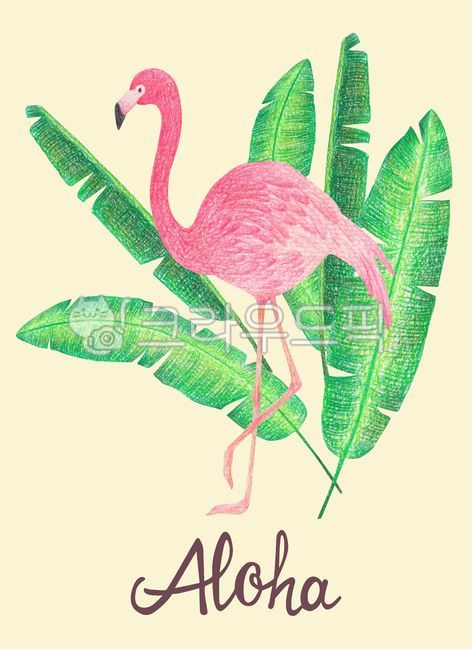 색연필,색연필화,수작업,일러스트,일러스트레이션,그림,드로잉,여름,시즌,계절,캘리그라피,캘리,영어,영문,열대식물,바나나잎,동물,새,야생동물,플라밍고,홍학,야자수,나뭇잎,식물,열대,트로피컬,포스터,background,animal,wild,banana,leaf,plant,tropical,nature,flamingo,pink,green,colored,pencil,drawing,illustration,summer,season,poster,calligraphy,그래픽,일러스트레이션,graphic,illustration
