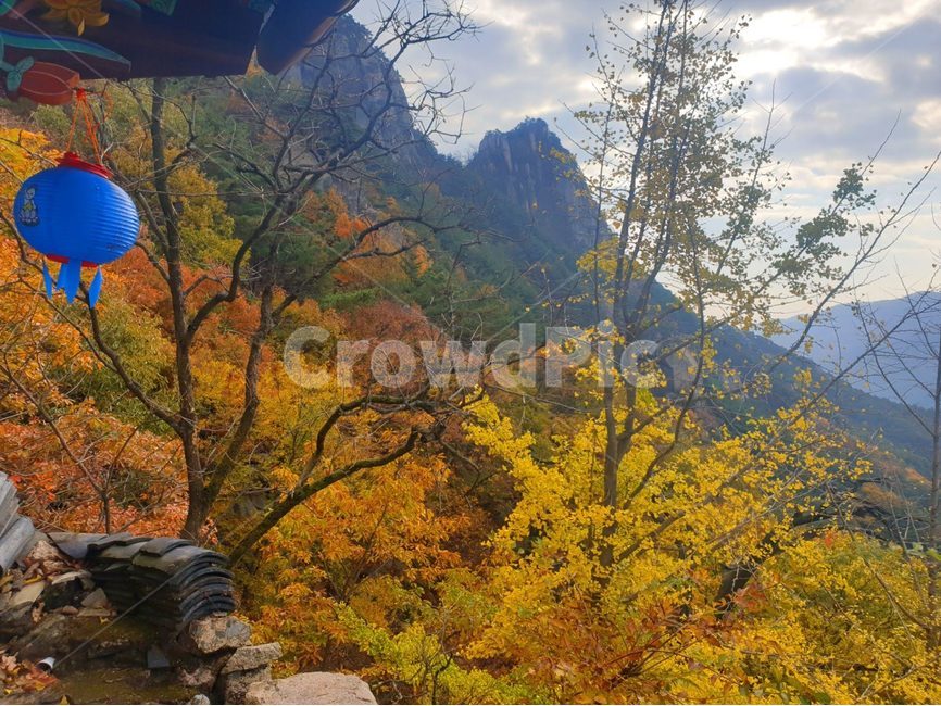 자연,nature,연등,단풍,가을,산사,암자,풍경