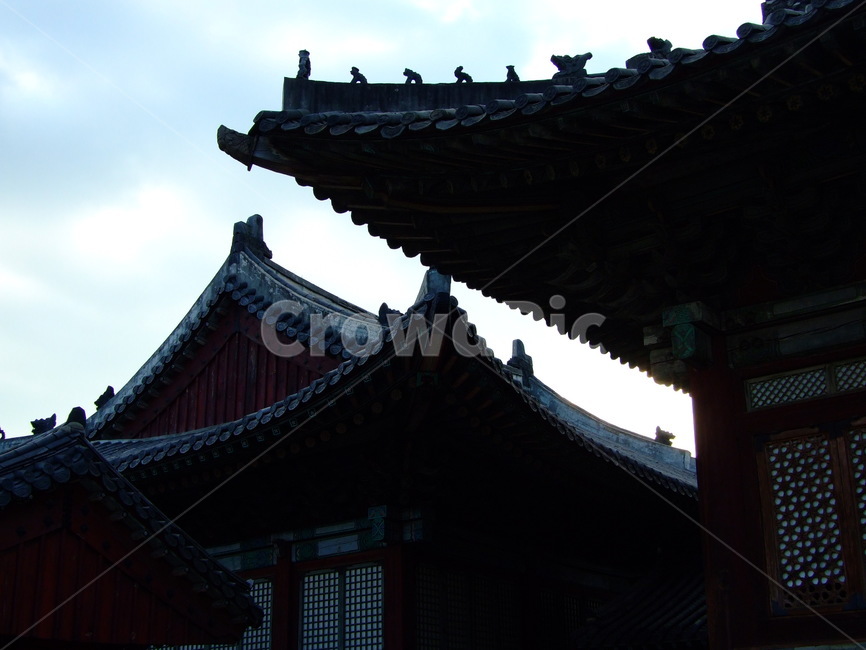 고궁,하늘,나무,풍경,역광,한국전통,한국문화,korean traditional,korean culture,건축물,건물외관,exterior,building,structure,architecture,construction
