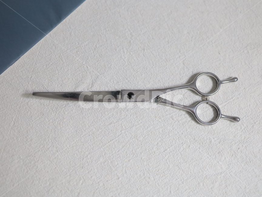 가위,scissors,scissor,애견가위,커브가위,cut,사무용품,스테인레스,스테인리스,강철,stainlesssteel