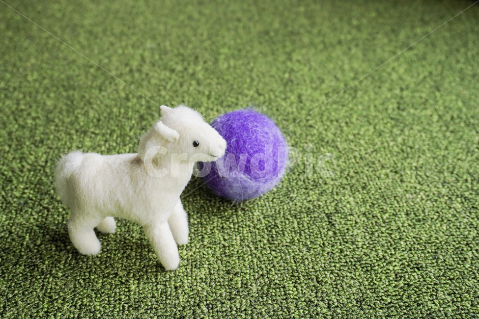 green,toy,baby,horse,white,봄,어린이,장난감,말,인형,흰색,초록,spring,외로움,background,배경,공,보라색,반려동물,반려동물장난감