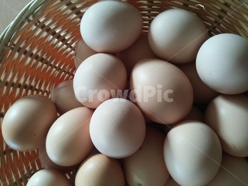 계란,달걀,닭알,계란바구니,food,egg,음식