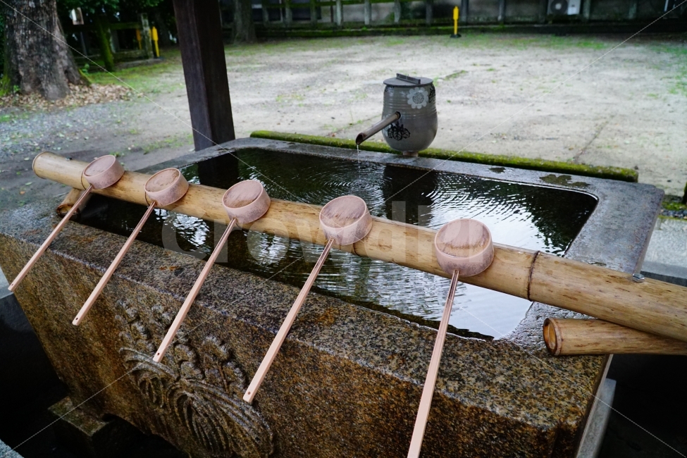 일본,japan,문화,문화재,유적,유적지,교토,쿄토,전통,역사,신사,진자,나무,공원,소원,여행,외국여행,해외여행,성수,물,water,하라이,우물,바가지,수도,물결,파동,약수터,지하수,history,히스토리,asia,아시아,동양,해외,외국,세계,foreign,oversea,world,종교,신앙,religion,belief,faith