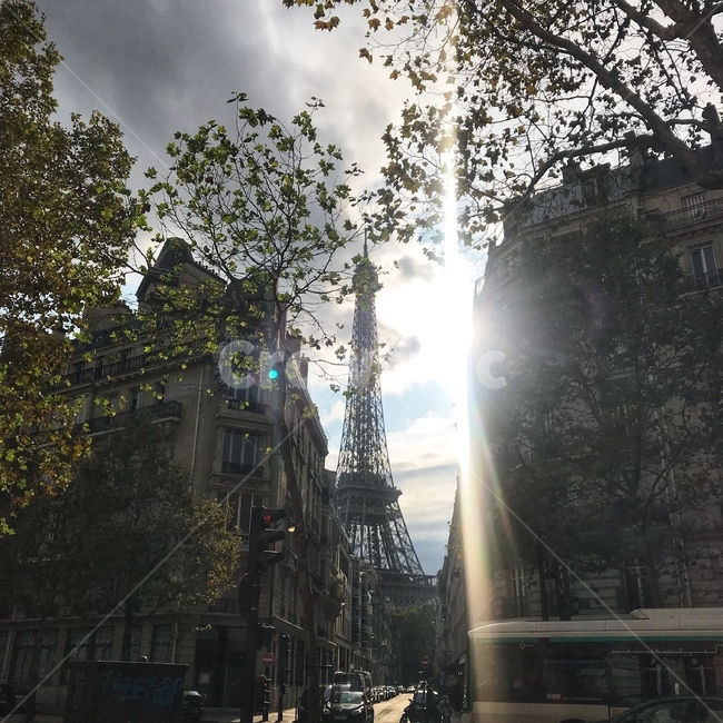 light,빛,에펠탑,effieltower,architecture,건축물