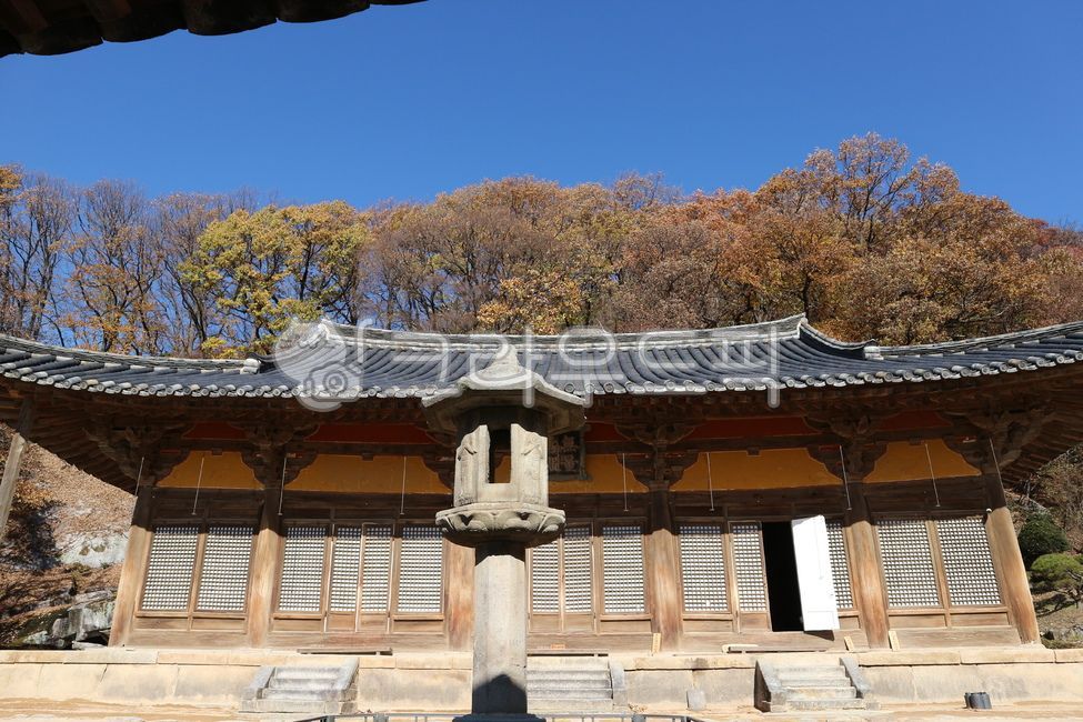 Goryeo,nationaltreasure,youngju,Baeheulrim Pillar,national treasure,building,wooden building,Buseoksa Temple,Yeongju,Muryangsujeon Hall,temple,cultural property,costume,architecture