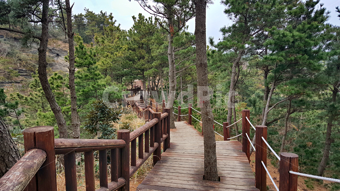제주도,서귀포시,송악산,둘레길,풍경,nature,자연,outdoors,옥외,길