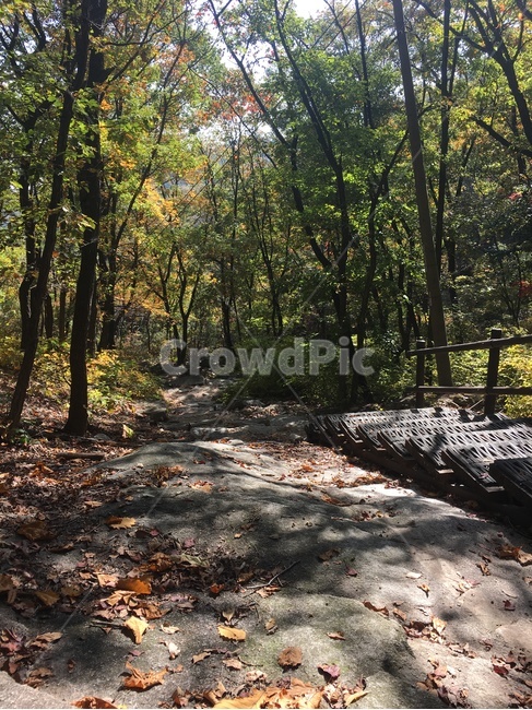 북한산,등산,가을,가을산,화창한날씨,자연,풍경,nature,landscape,ground,바닥,tree,나무,plant,식물