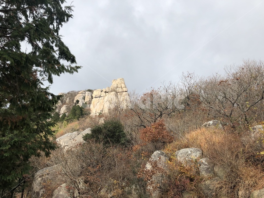 숲,등산,정상,나무,돌산