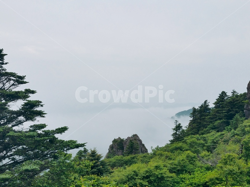 산,나무,안개,산봉우리,mountain,산안개,자연,자연환경,한국,korea,초록,흰색,구름,landscape,정상,신선,green
