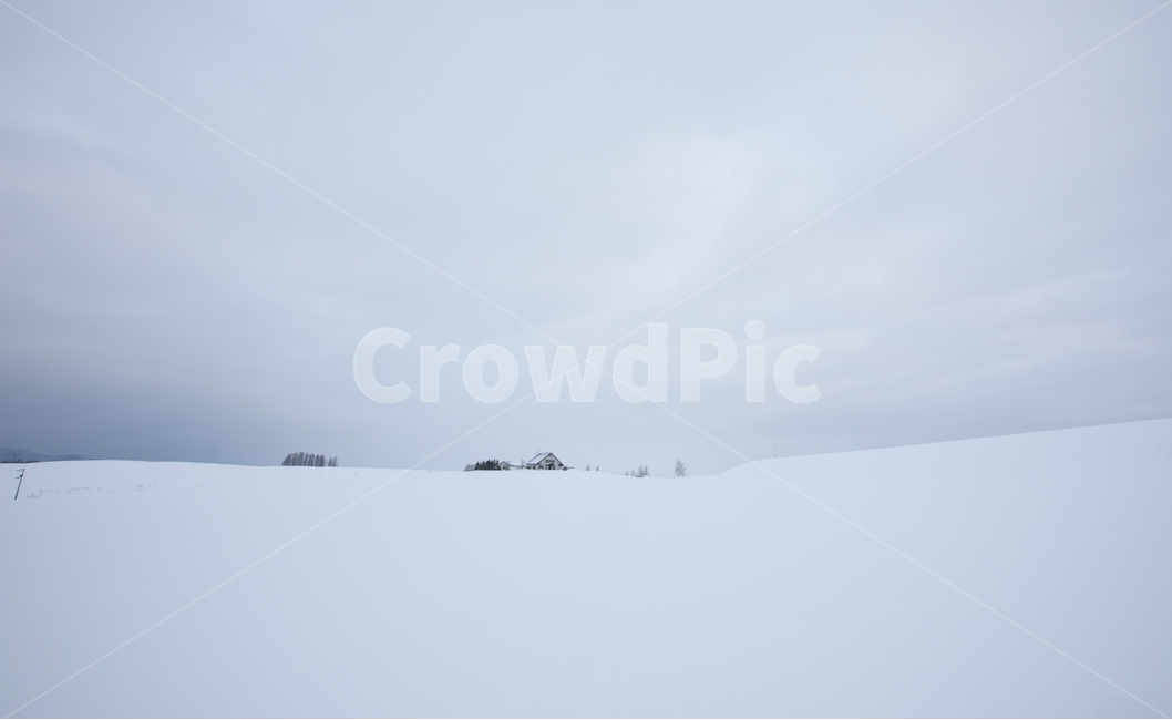 설경,눈,비에이,북해도,겨울풍경,snow,겨울,계절,winter,season,자연,풍경,nature,landscape,해외,외국,세계,foreign,oversea,world,세계자연풍경,해외자연풍경,외국자연풍경,world nature landscape,storm,폭풍,blizzard,눈보라,outdoors,옥외,weather,날씨