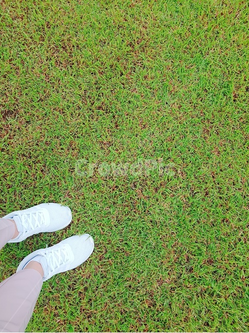 잔디,발,풀,자연,grass,사람,인물,인간,human,person,신체일부,몸,body