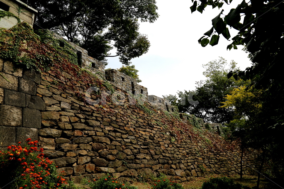자연,풍경,나무,석축,석조물,한국전통,한국문화,korean traditional,korean culture,건축물,건물외관,exterior,building,structure,architecture,construction