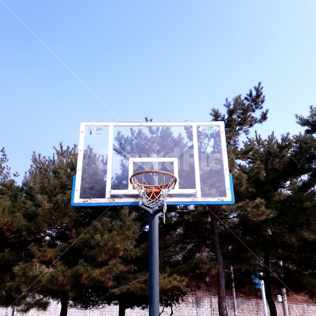 농구대,농구,나무,운동장,맑은날,하늘,스포츠,레저,운동,sports,leisure,exercise