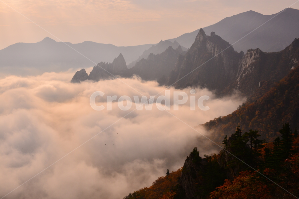 자연,산,가을,운해,설악산,가을,계절,fall,autumn,season,자연,풍경,nature,landscape,한국자연풍경,한국자연경관,korea nature landscape,outdoors,옥외,weather,날씨