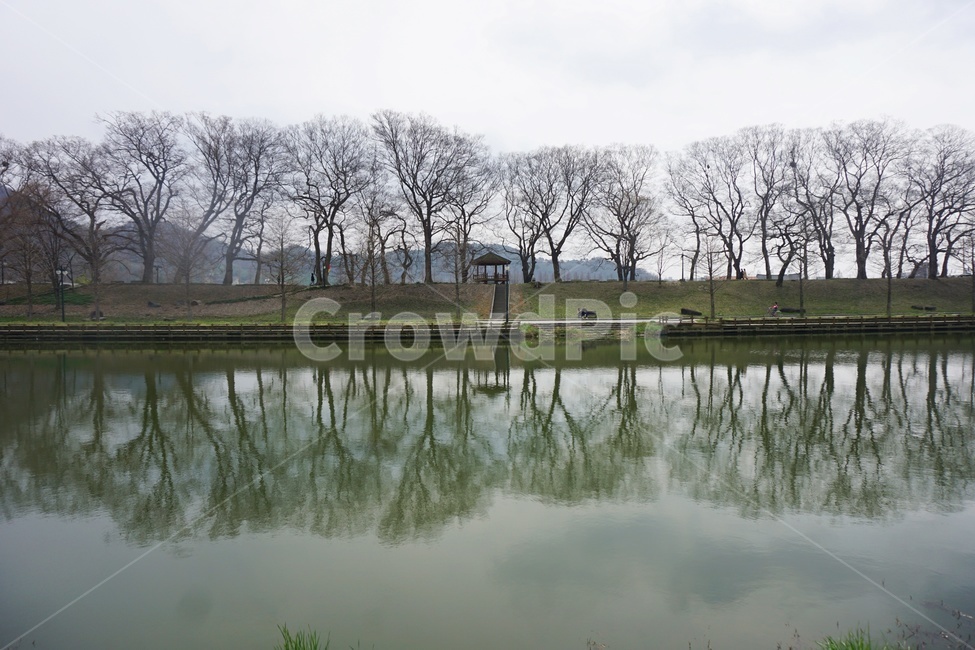 담양,나무,강,관광지,담양10경,water,물,nature,자연,outdoors,옥외,자연,풍경,nature,landscape