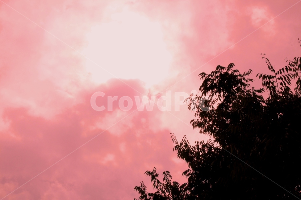 감성사진,분홍색,붉은색,하늘,나무,자연,nature,tree,파스텔톤,feelingofcolor,sky,구름,풍경,landscape,night,colorsense,색감,핑크,pink,red