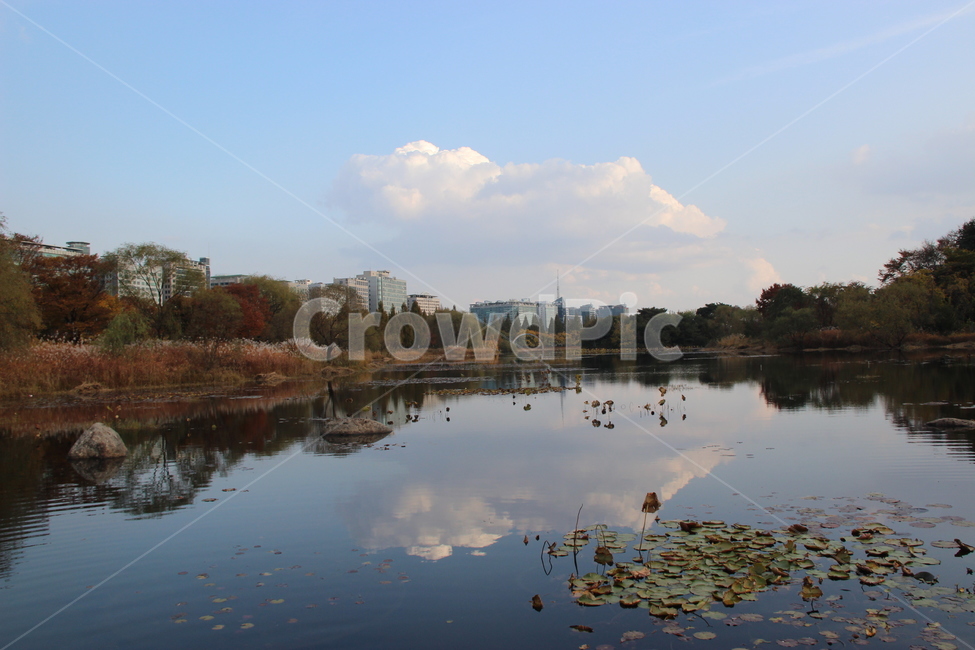 water,nature,자연,outdoors,옥외,land,호수,구름,호수공원,일산,일산호수공원,반영,하늘,물에비친,lake,한국자연풍경