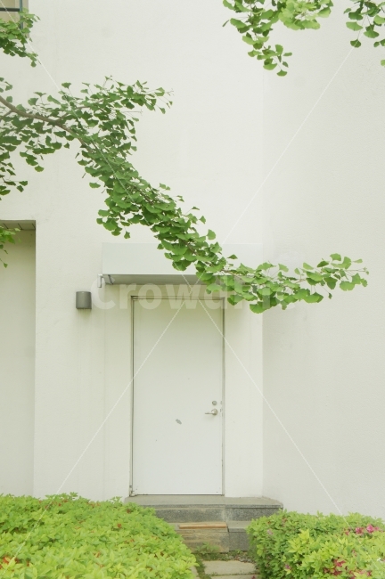 자연,풍경,건축,여행,나무,식물,자연,plants,nature,건축물,건물외관,exterior,building,structure,architecture,construction
