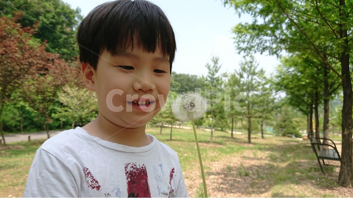 식물,풀,자연,풍경,민들레,민들레홀씨,아이,여름,식물,자연,plants,nature,꽃,flower,사람,인물,인간,human,person,얼굴표정,facial expression,face,어린이,어린아이,child,children,kid