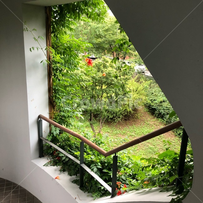 난간,계단,자연,식물,풍경,nature,handrail